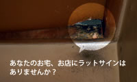 あなたのお宅、お店にラットサインはありませんか？